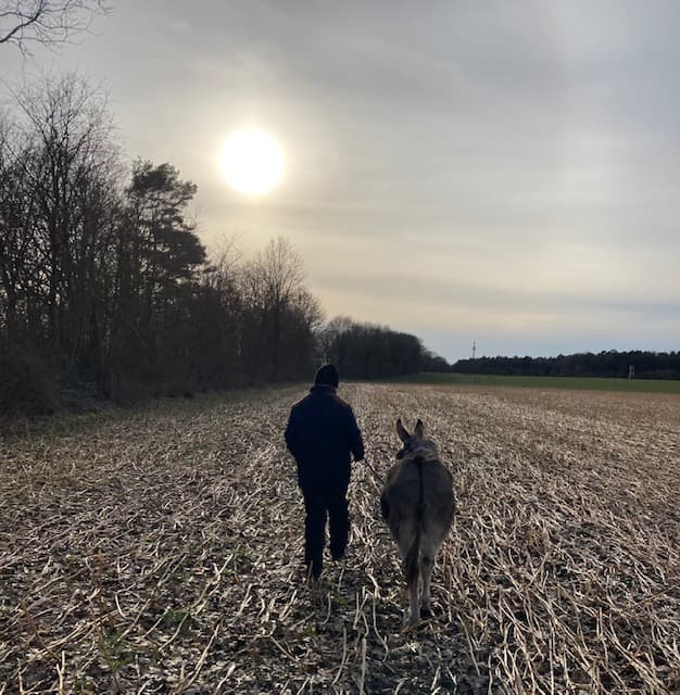 gemütlicher Spaziergang mit Paula