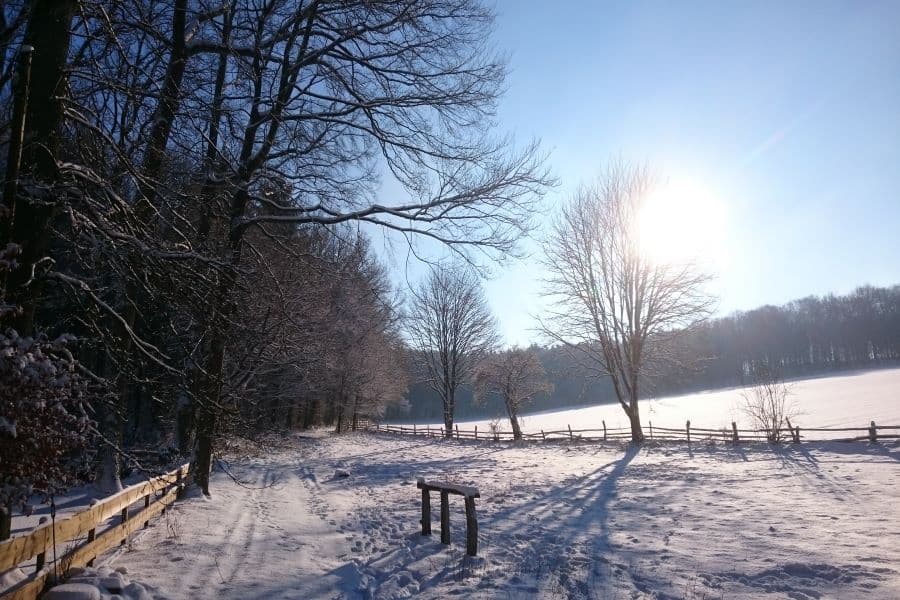 Waldhuuske Café und Pension Ausblick Winter