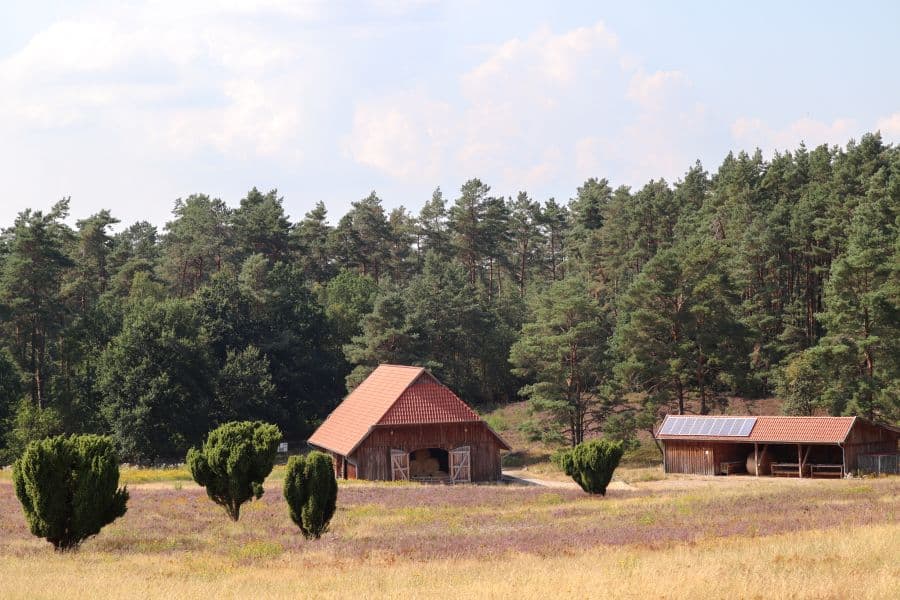 Schafstall in der Kronsbergheide in Amelinghausen