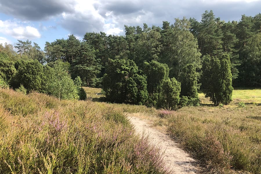 Marxener Paradies in Oldendorf (Luhe)