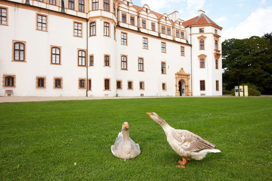 Herzogenschloss Celle