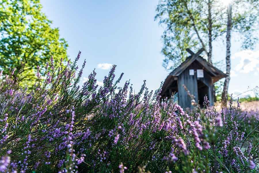 Was kann ich machen? Sehenswürdigkeiten in der Lüneburger Heide