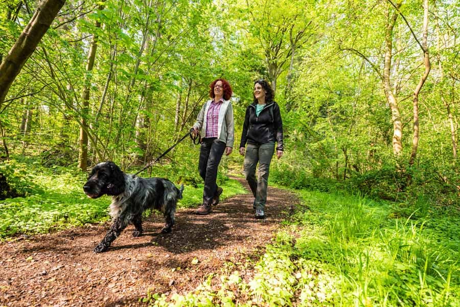 Mit Hund in die Heide 