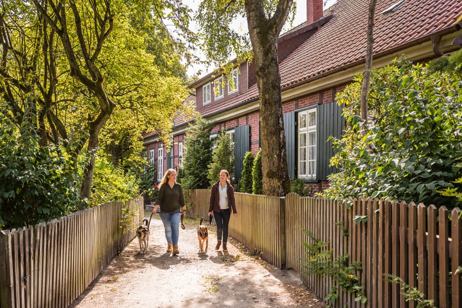 Mit Hund in die Lüneburger Heide