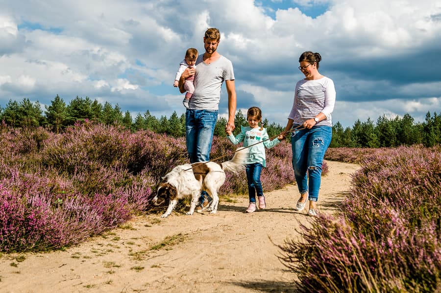 Familienurlaub mit Vierbeiner in der Lüneburger Heide