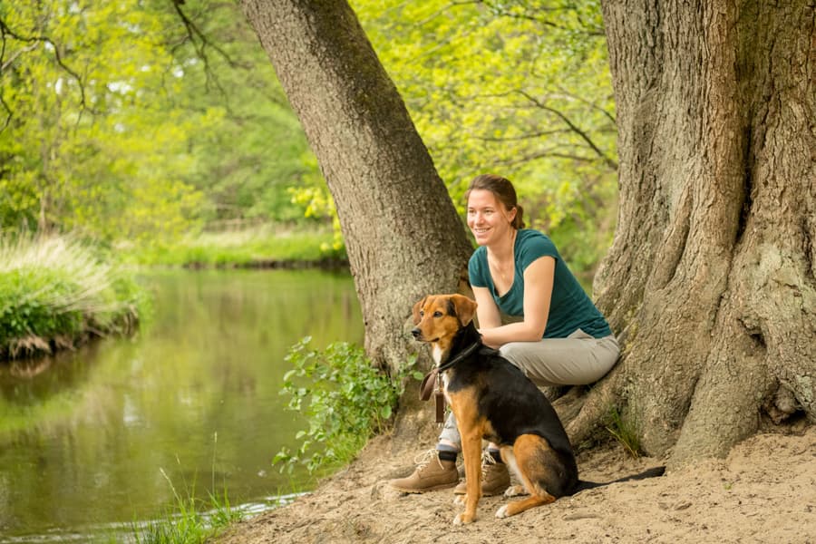 Fluss, Wasser, Hund, Wald
