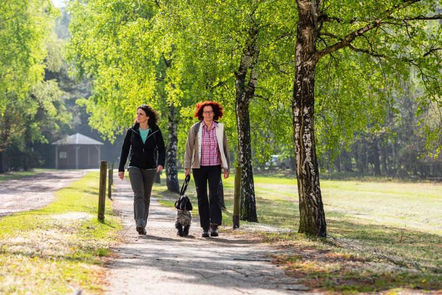 Mit dem Hund auf dem Heidschnuckenweg