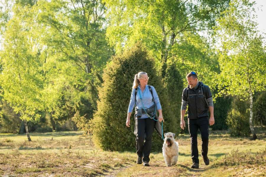 Mit Hund durch die Oberoher Heide