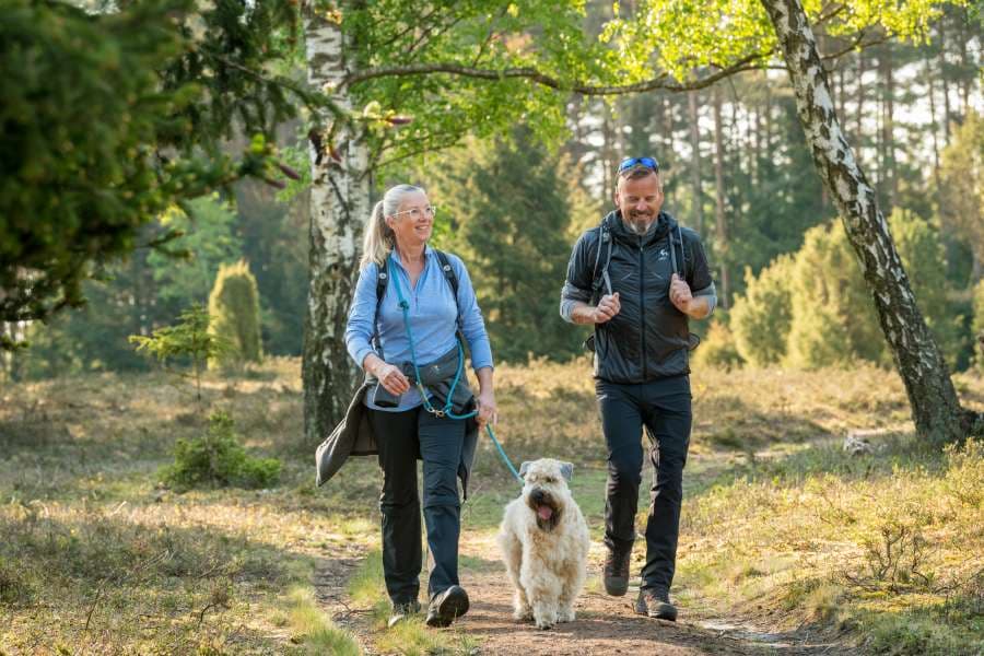 Mit Hund durch die Oberoher Heide