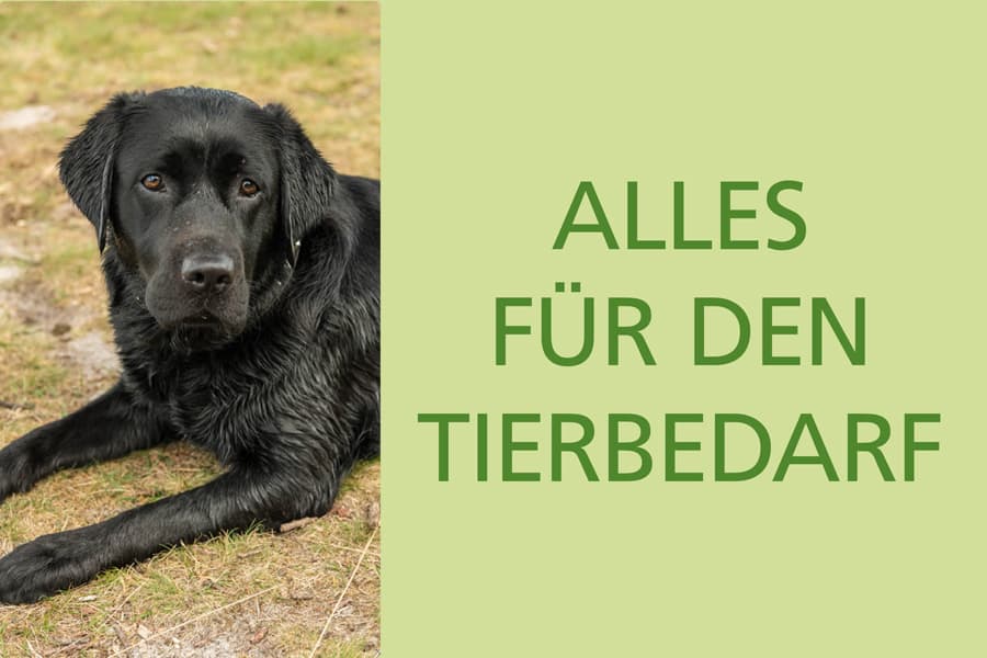 Von Bedarfsläden bis Tierarzt - hier finden Sie alle Adressen