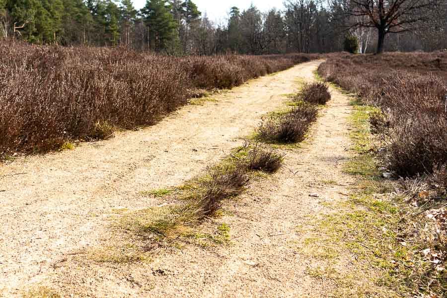 Die sandigen Wege am Auberg