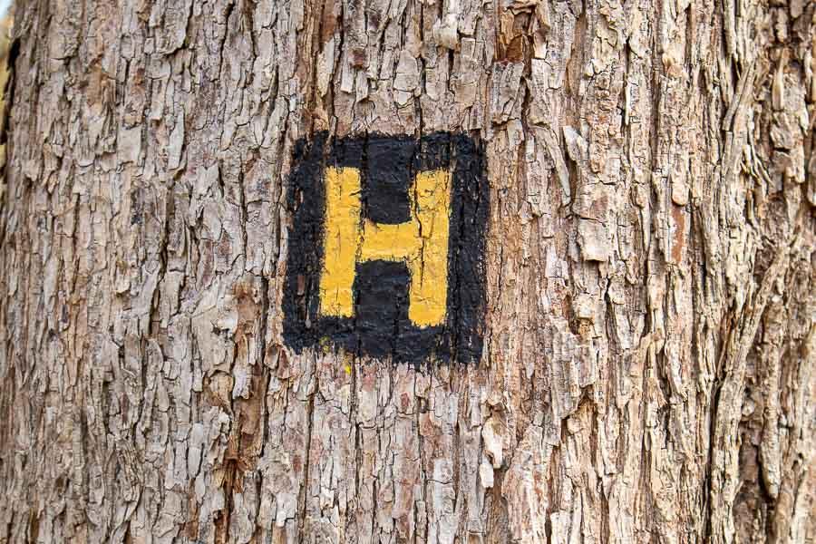 Der Weg ist durch ein gelbes "H" auf schwarzem Grund zu erkennen.
