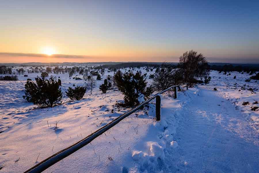 Wilseder Berg mit Schnee im Winter