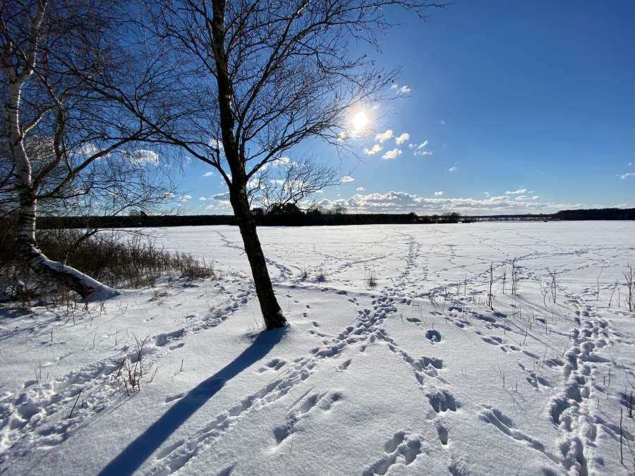 Winterauszeit auf dem Heidschnuckenweg: Gänsemarsch im Pulverschnee