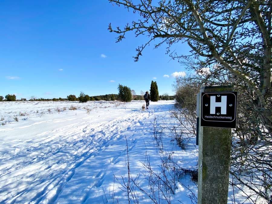 Winter am Heidschnuckenweg