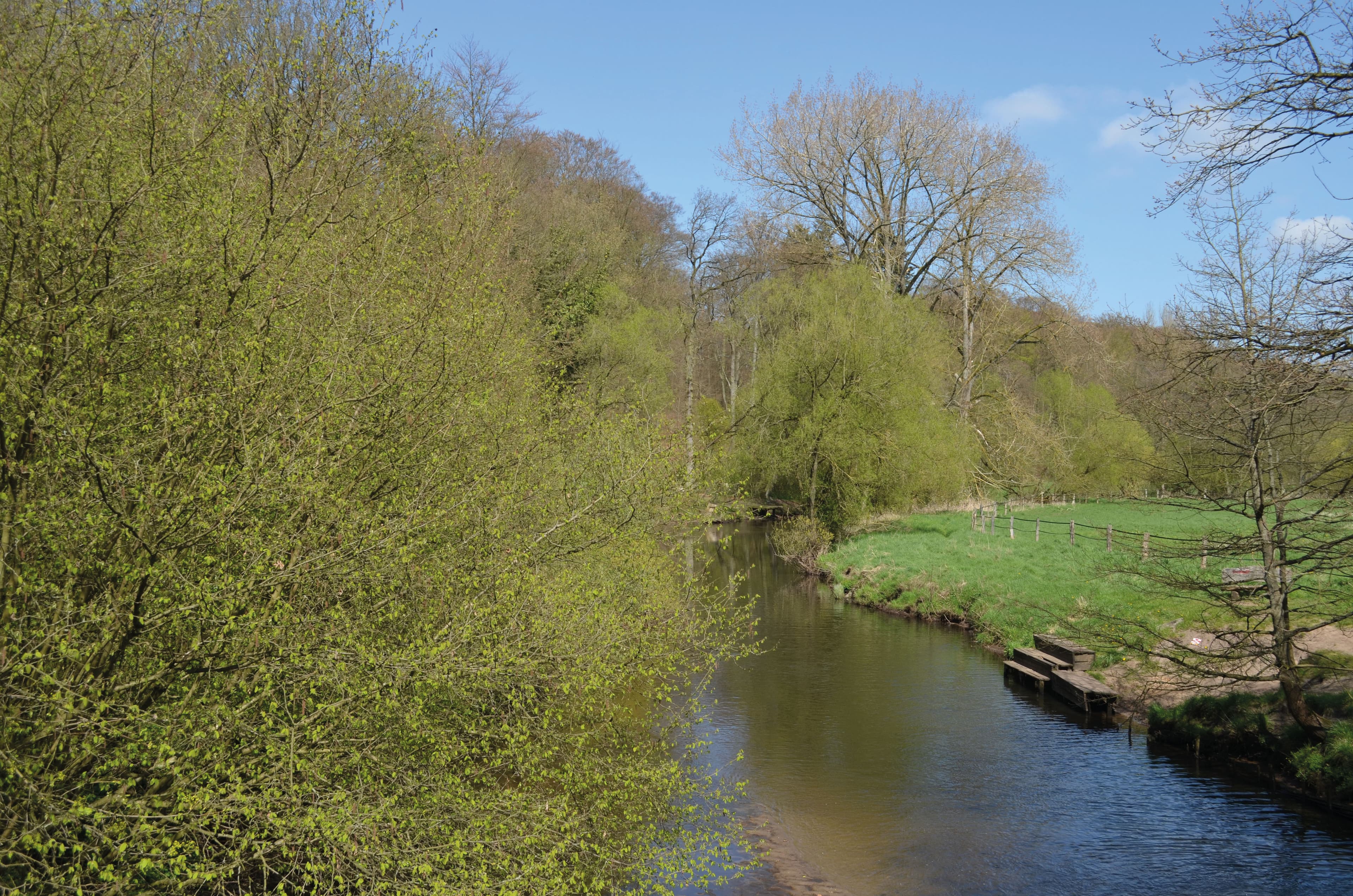 Ilmenau bei Medingen