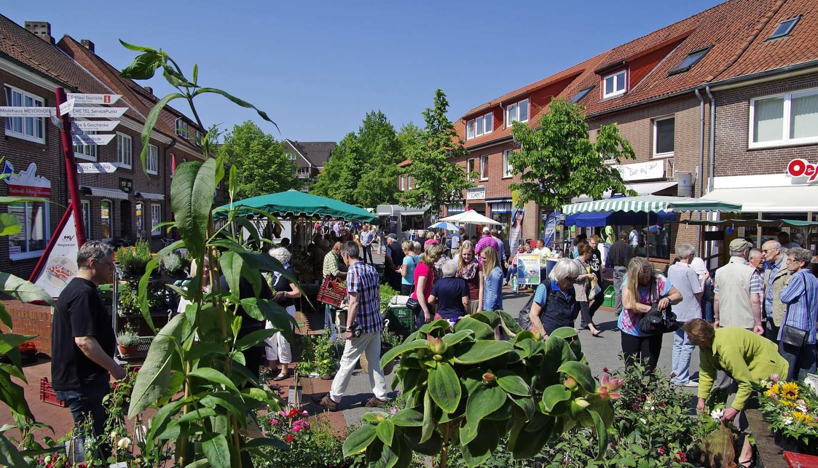 Soltauer Wochenmarkt