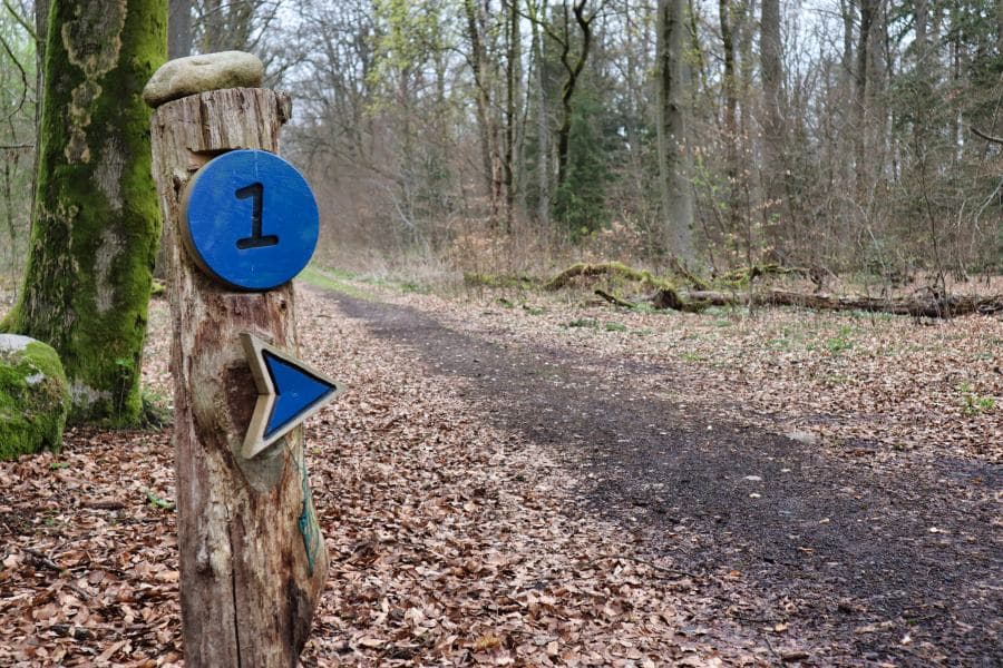 2,5 km durch den Wald