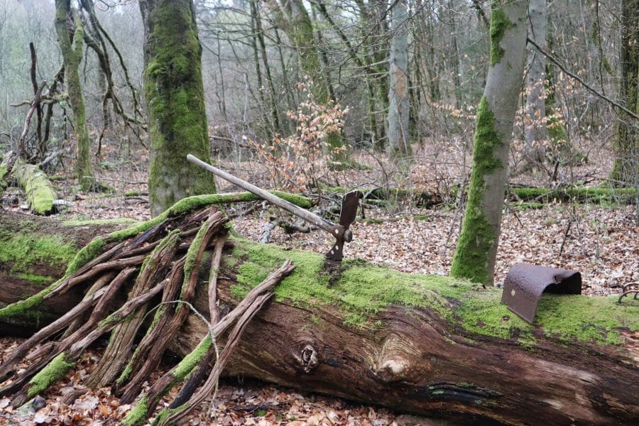 Wald, Kunst
