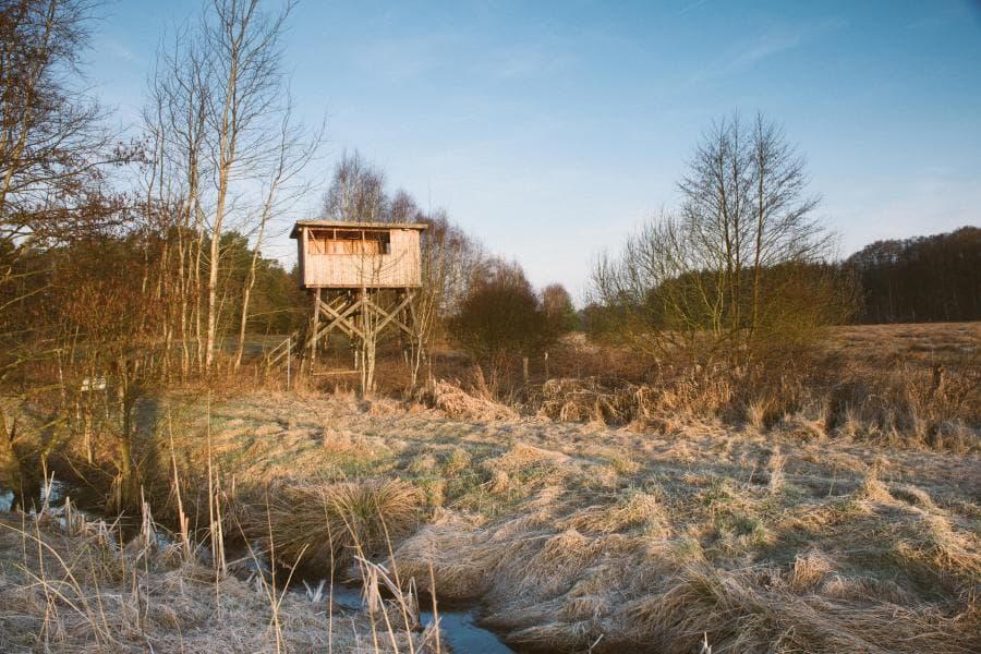 Der Aussichtsturm im Postmoor bietet einen tollen Überblick über das Moor und seine Tierwelt. Mit etwas Glück lassen sich Kraniche, Rehe und andere Tier beobachten.