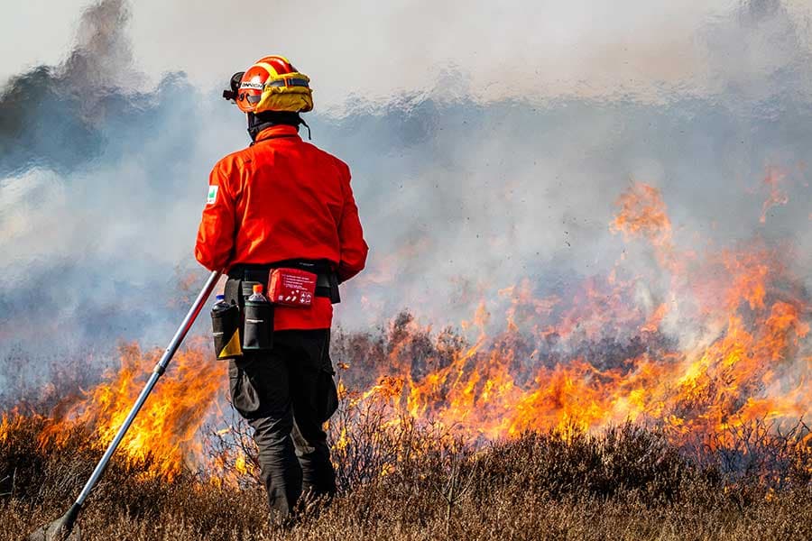 Die Heide wird kontrolliert abgebrannt