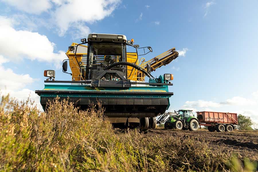 Die Heide wird gemäht