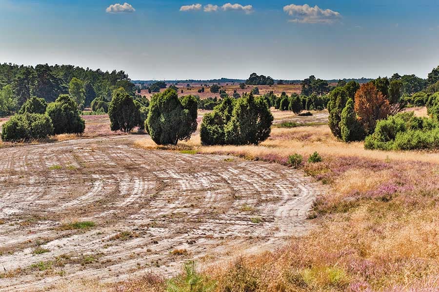 Heide plaggen