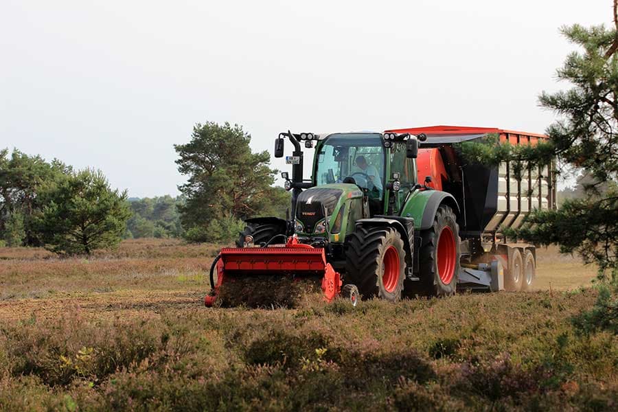 Die Heide wird verjüngt