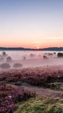 Kostenloses Handyhintergrundbild Nebelmorgen