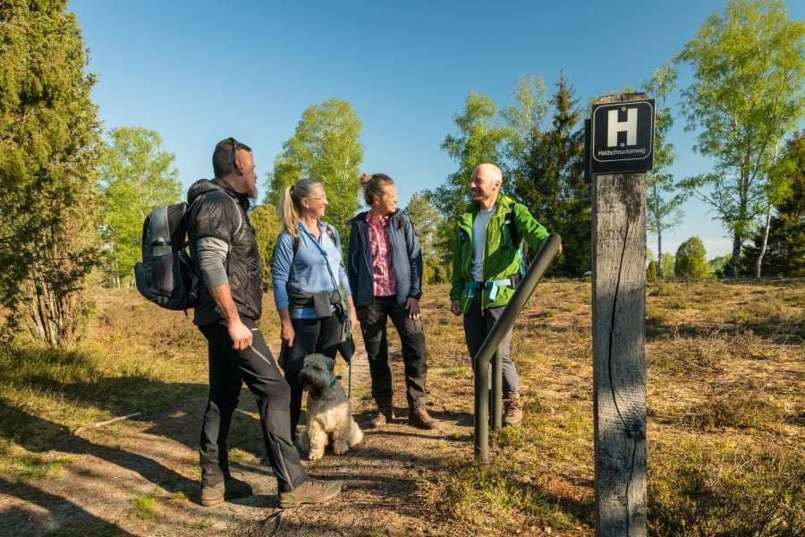 Geführte Tour in der Lüneburger Heide