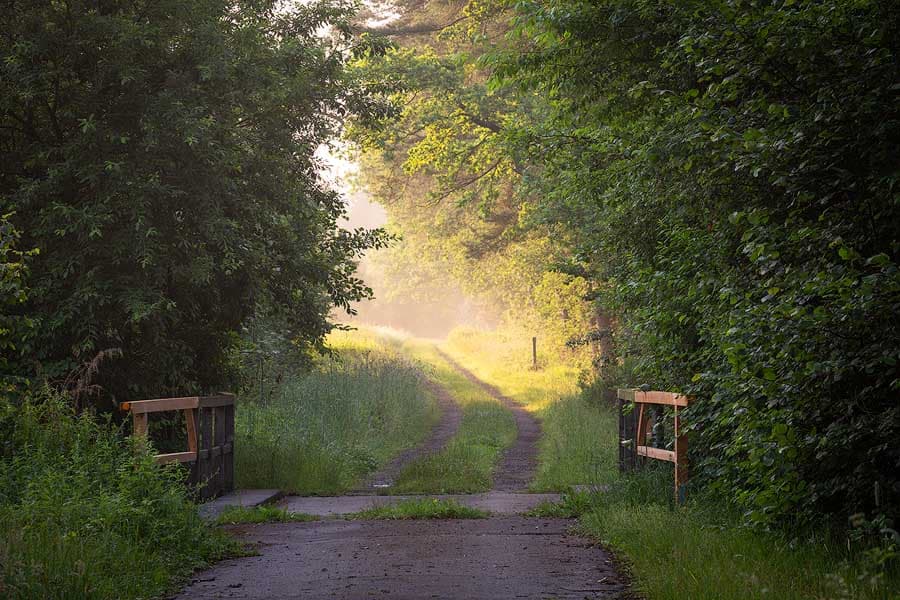 Lutterradweg bei Endeholz