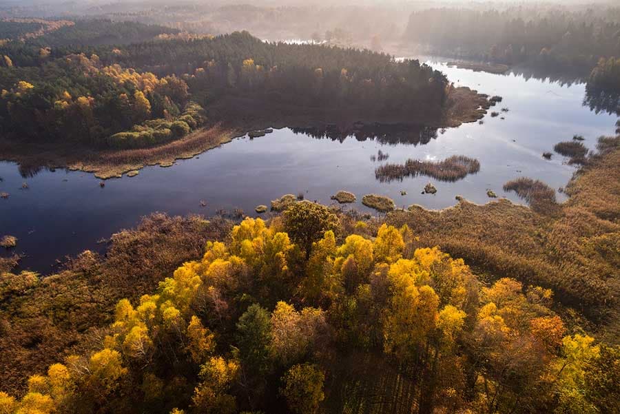 Luftaufnahme der Wildecker Teiche im Herbst