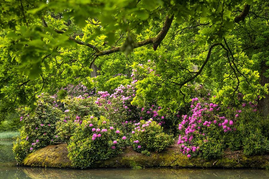 Breidings Garten in Soltau