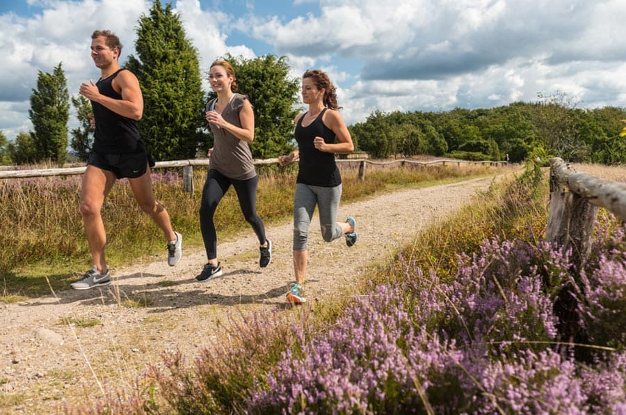 Mann, Frauen, Joggen, Heide, Natur, Sport