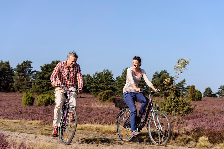 Menschen, Fahrrad, heide