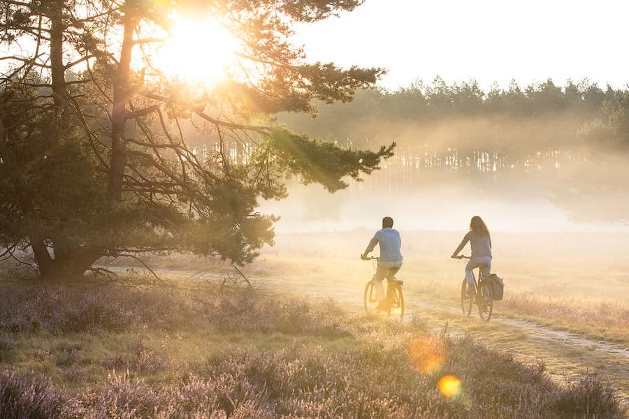 Heide, Sonne, Natur, Landschaft, Menschen, Rad fahren