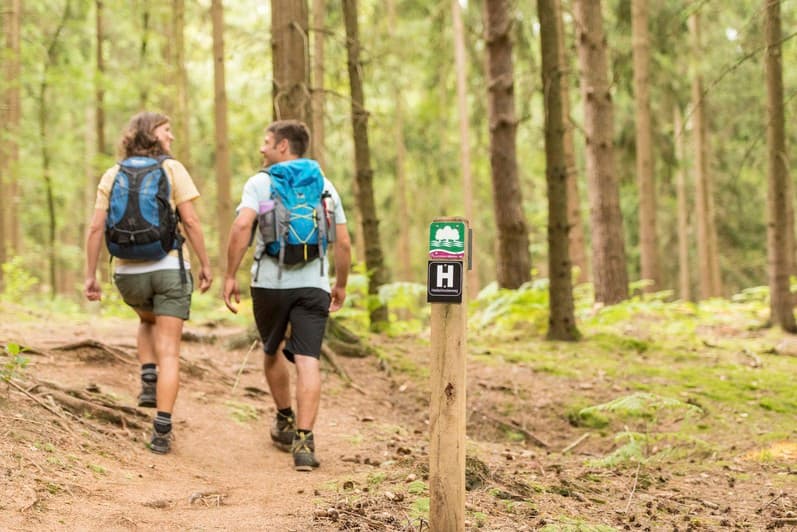wandern, wald, pfad, trekking, menschen