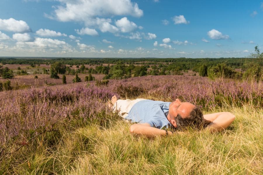 Mann, Heide, liegen