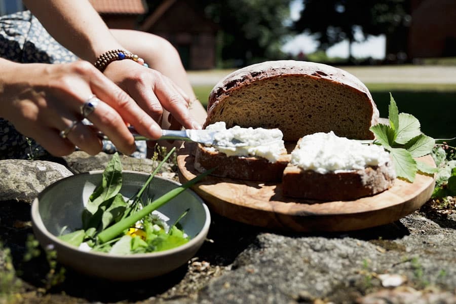 Kräuter, Brot, Smoothie, Picknick