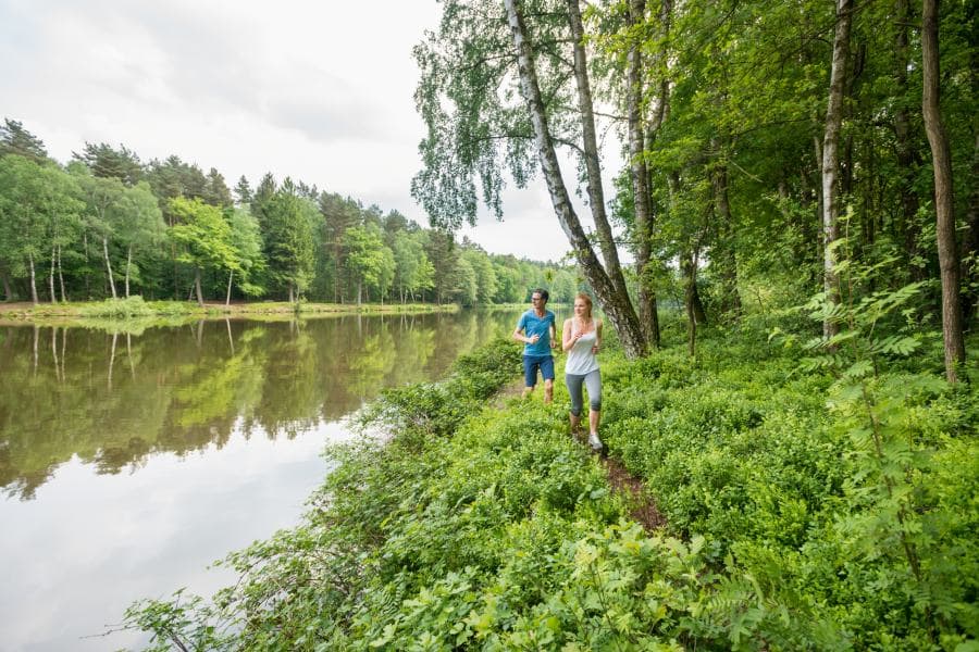 Wald, Pfad, Jogger