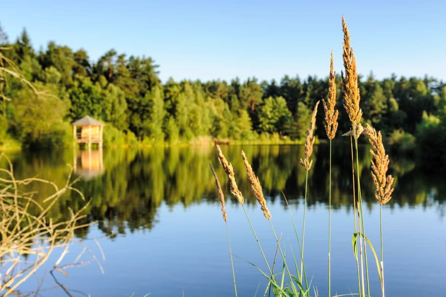 Angelbecksteich Hermannsburg im Herbst