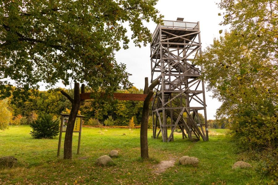 Bäume, Wad, aussichtsturm, wiese, natur