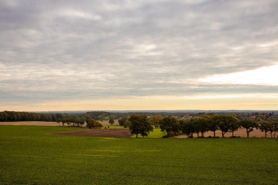 weite, wald, felder, aussichtsturm, aussicht