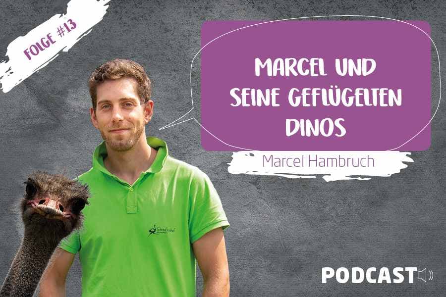 Zu Gast: Marcel Hambruch vom Straussenhof Heidekreis in Vierde.