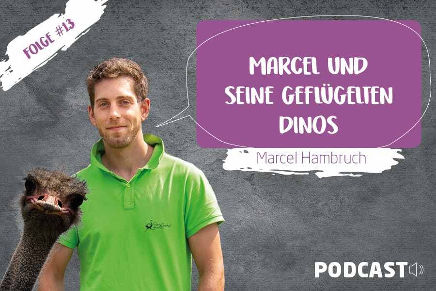 Podcast HEIDE Geflüster Folge 13