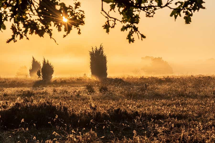 Wander Urlaub in der Heide