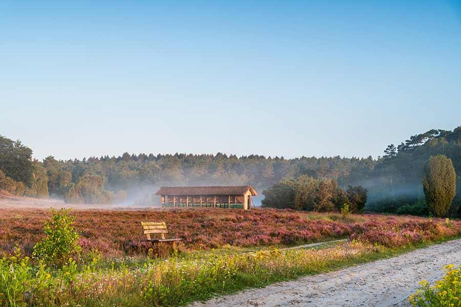 Wunderbare Wanderwege durch das autofreie Naturschutzgebiet der Lüneburger Heide