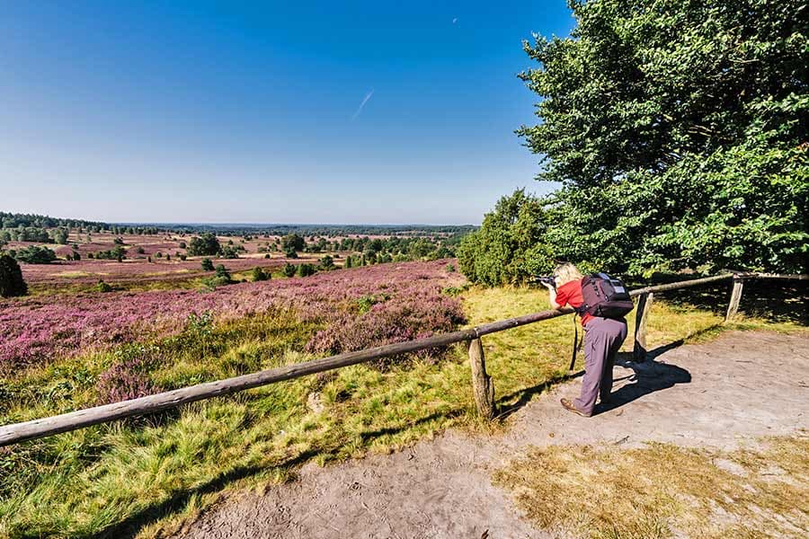 Die Aussicht vom Wilseder Berg