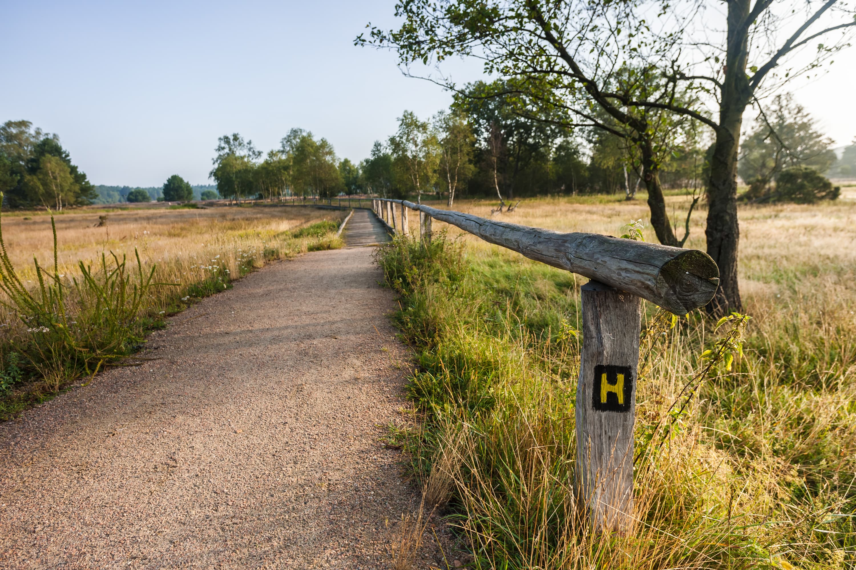 5006-Heidschnuckenweg-Etappe5-Haverbeeke-Druck©Lueneburger Heide GmbH