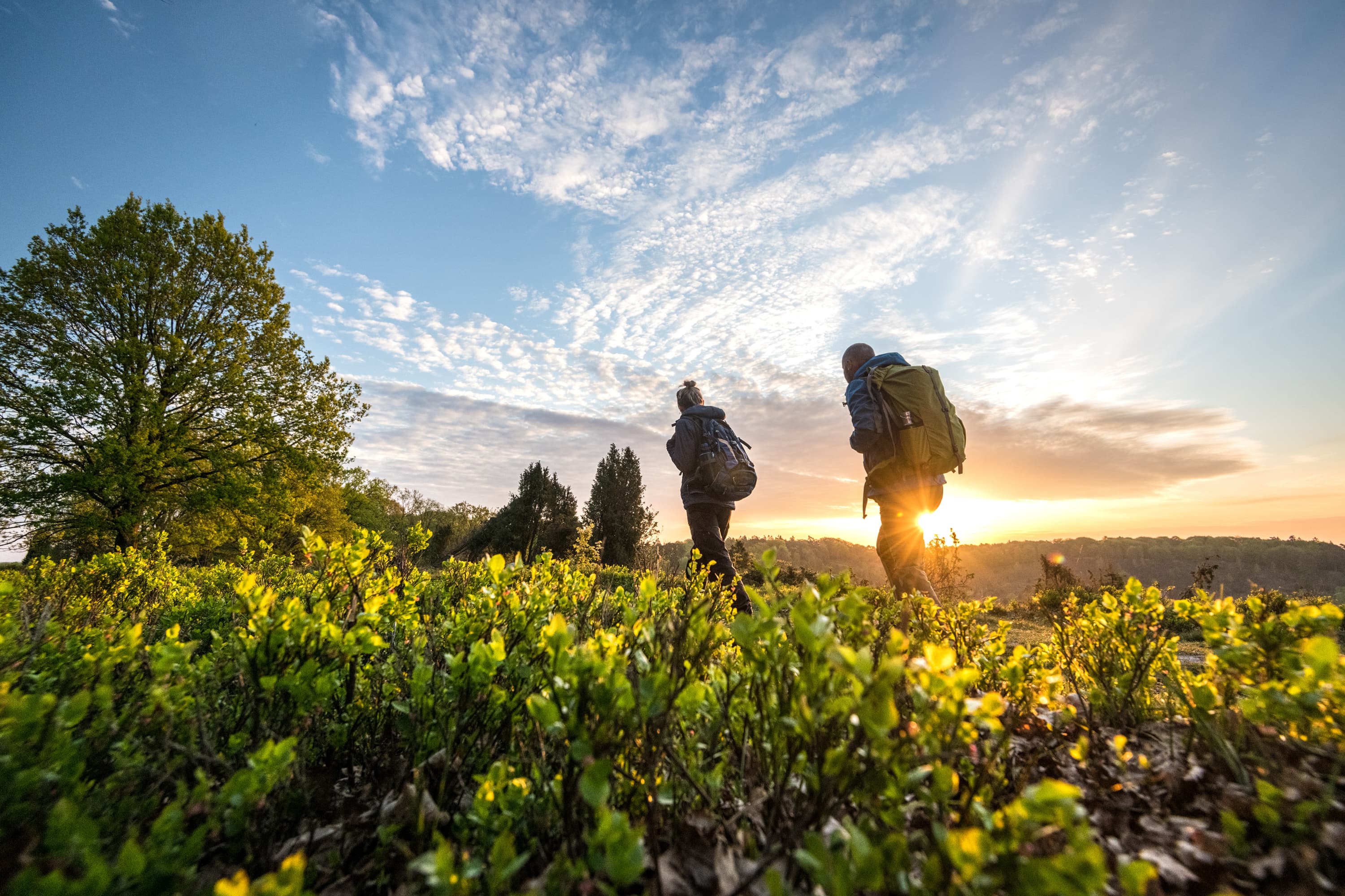 5018-Wanderer-Fruehling-Druck©Lueneburger Heide GmbH